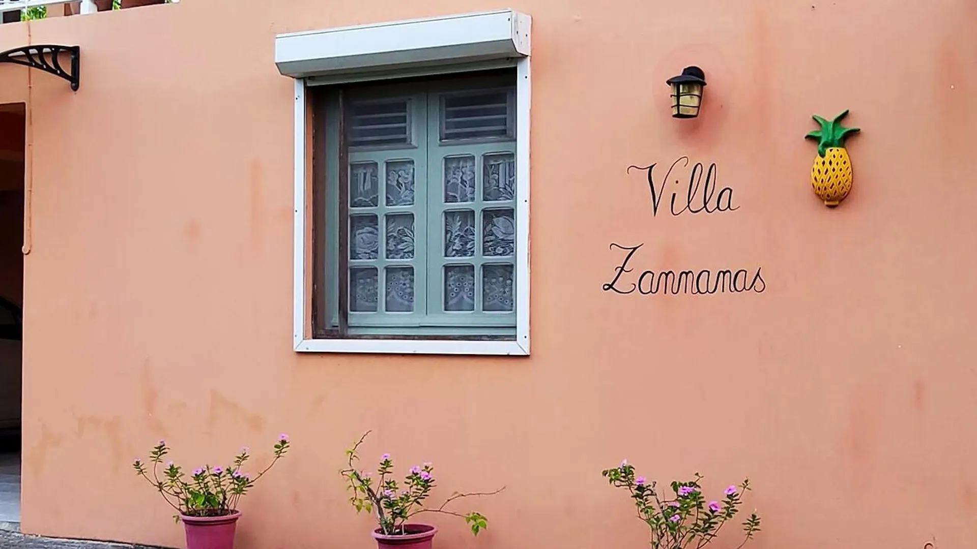 Appartement Spacieux Pres Du Diamant Avec Jardin Privatif Le Diamant